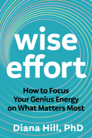 book cover for Wise Effort