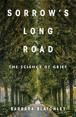 book cover for Sorrow's Long Road