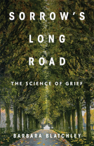 book cover for Sorrow's Long Road