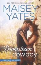book cover for Brokedown Cowboy
