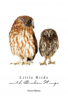 book cover for Little Birds with Broken Wings