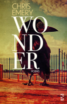 book cover for Wonder