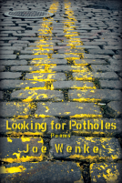 book cover for Looking for Potholes