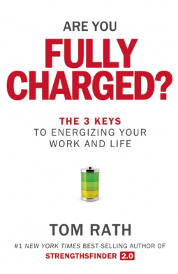 book cover for Are You Fully Charged?