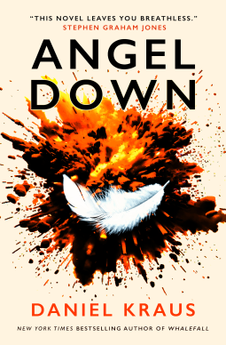 book cover for Angel Down