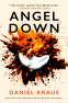 Cover Image: Angel Down