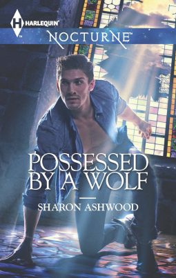 book cover for Possessed by a Wolf
