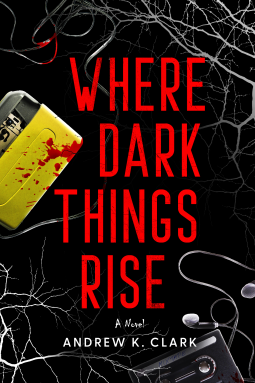 book cover for Where Dark Things Rise
