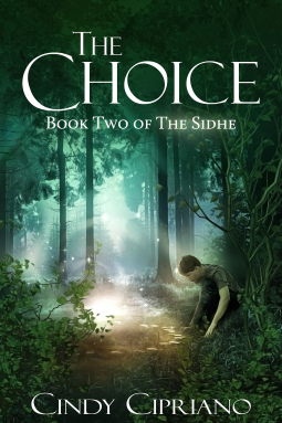 book cover for The Choice