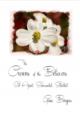 book cover for The Crowns of the Believers