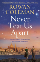 book cover for Never Tear Us Apart