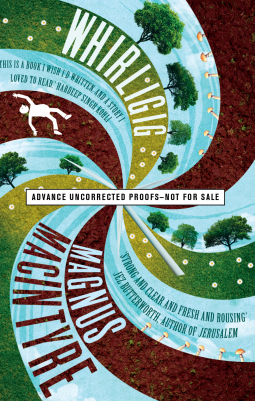 book cover for Whirligig