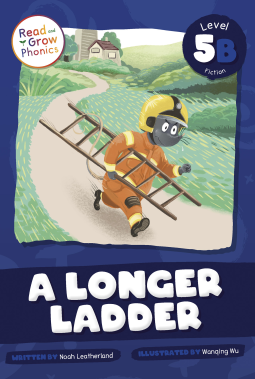 book cover for A Longer Ladder