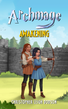 book cover for Archmage Awakening