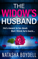 book cover for The Widow's Husband