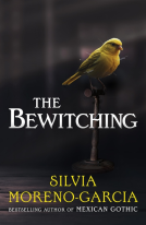 book cover for The Bewitching
