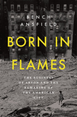 book cover for Born in Flames
