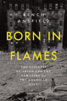 book cover for Born in Flames