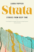 book cover for Strata