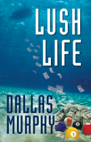 book cover for Lush Life