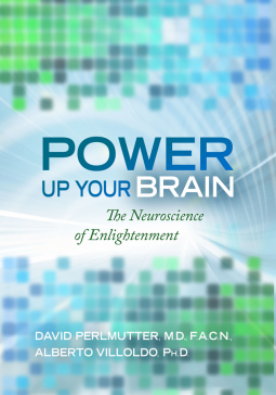 book cover for Power Up Your Brain