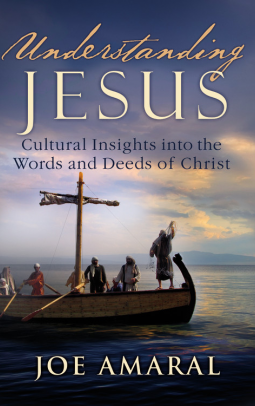 book cover for UNDERSTANDING JESUS