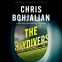 book cover for The Skydivers