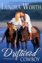 book cover for Driftwood Cowboy