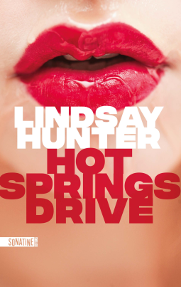 Couverture du livre pour Hot Springs Drive