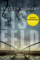 Buchcover für Eisfeld – Dunkle Enthüllungen