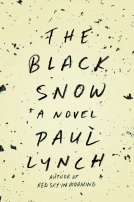 book cover for The Black Snow