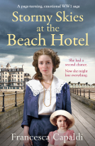 book cover for Stormy Skies at the Beach Hotel