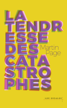 Couverture du livre pour La Tendresse des catastrophes