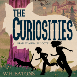 book cover for The Curiosities