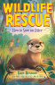 Cover Image: How to Save an Otter