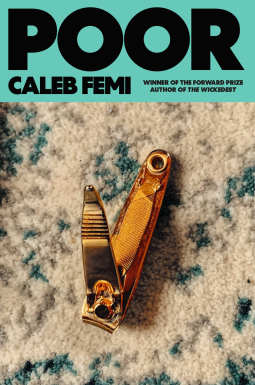 book cover for Poor