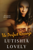 book cover for The Perfect Revenge