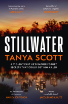 book cover for Stillwater