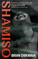 book cover for Shamiso