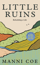 book cover for Little Ruins
