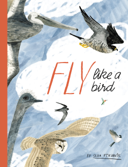 book cover for Fly Like a Bird