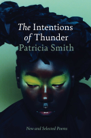 book cover for The Intentions of Thunder