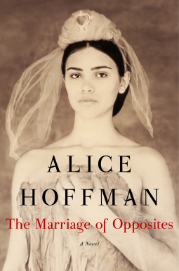 book cover for The Marriage of Opposites
