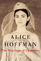 book cover for The Marriage of Opposites