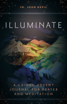 book cover for Illuminate