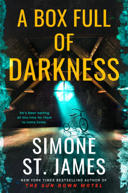 book cover for A Box Full of Darkness