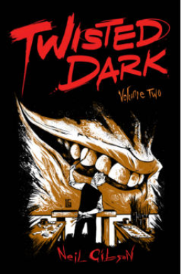 book cover for Twisted Dark Volume 2