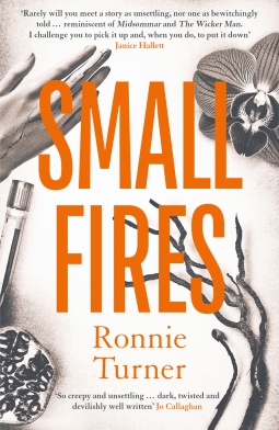 book cover for Small Fires