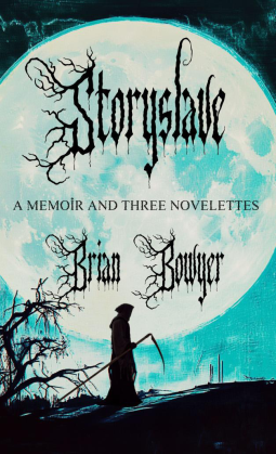 book cover for STORYSLAVE