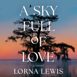 book cover for A Sky Full of Love